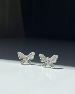 Brinco Borboleta Cravejada