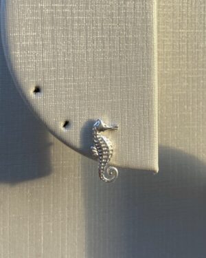 Brinco Cavalo Marinho