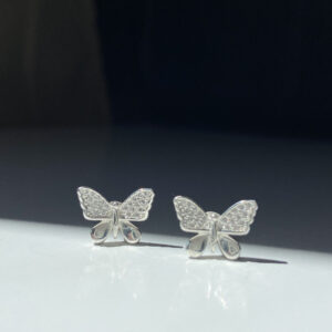 Brinco Borboleta Cravejada